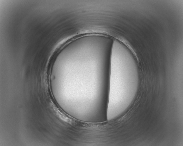 X0000081611072200701151114