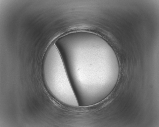 X0000081611073200701151114