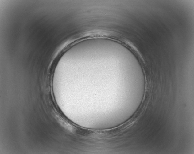 X0000081611075200701151114