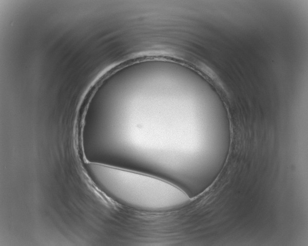 X0000081611076200701151114