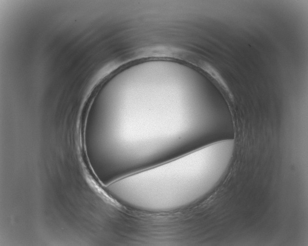 X0000081611080200701151114