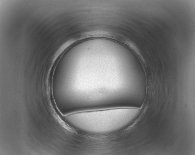 X0000081611082200701151114