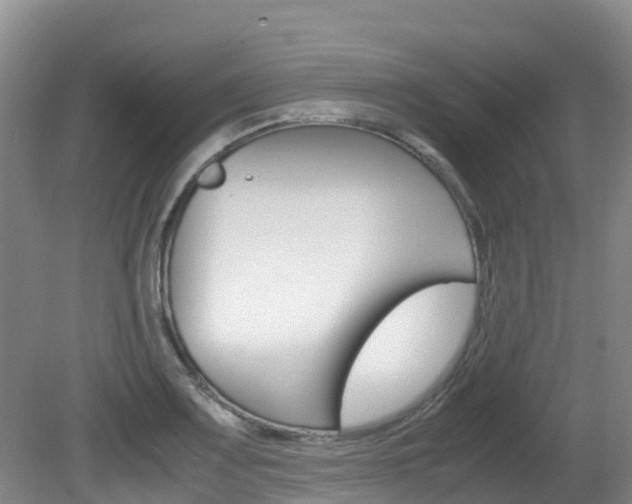X0000081611083200701151114