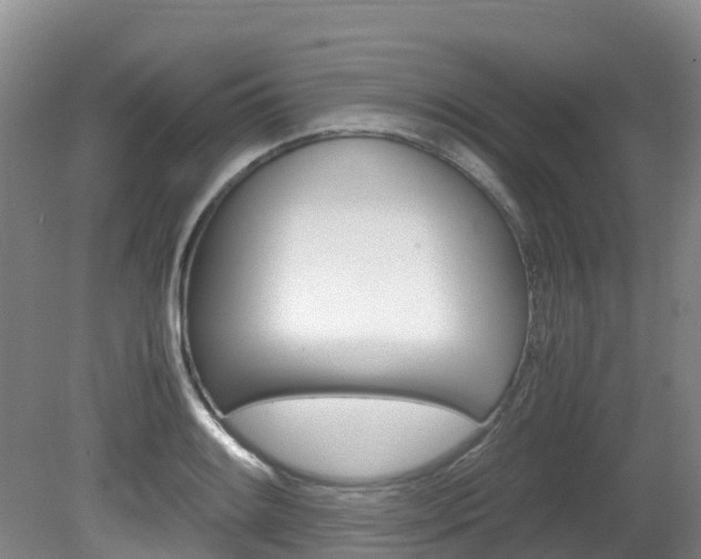 X0000081611084200701151114