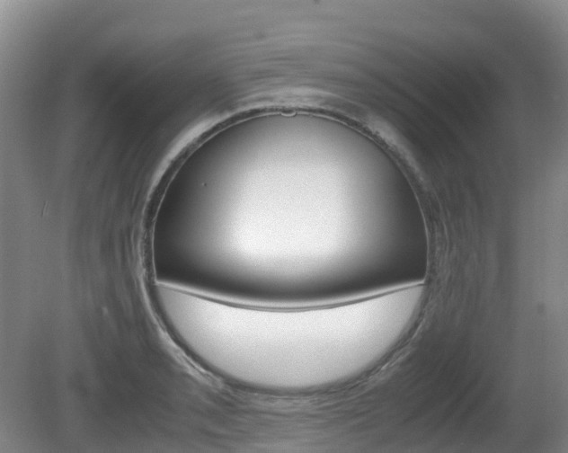 X0000081611085200701151114