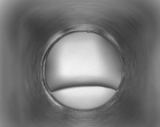 X0000081611087200701151114