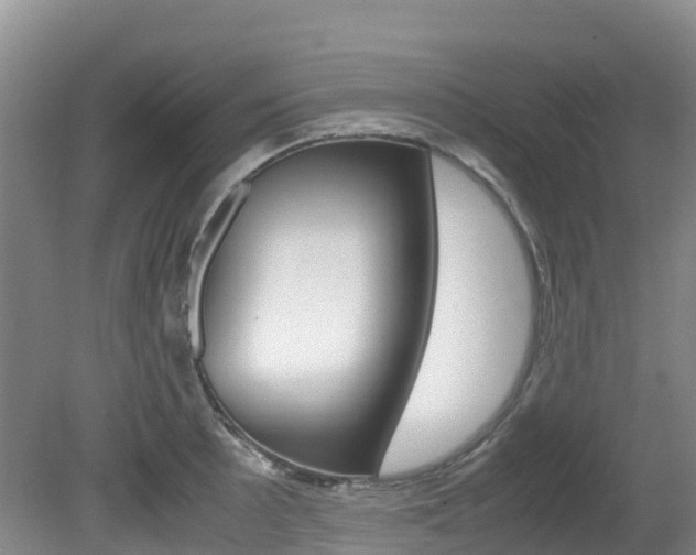 X0000081611089200701151114