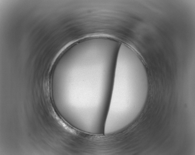 X0000081611092200701151114
