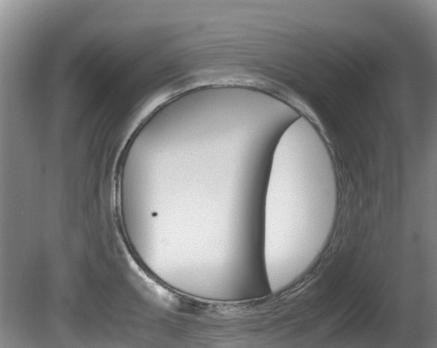 X0000081611095200701151113
