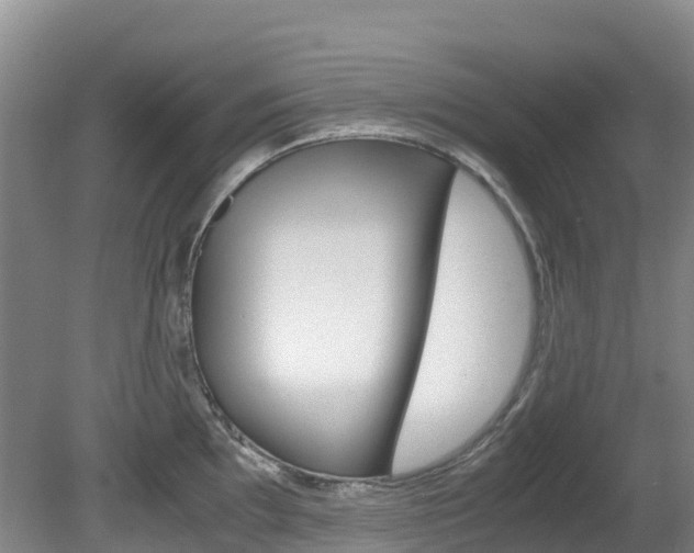 X0000081611097200701151113