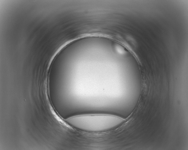 X0000081611100200701151113