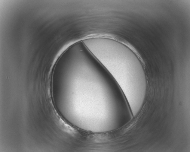 X0000081611102200701151113