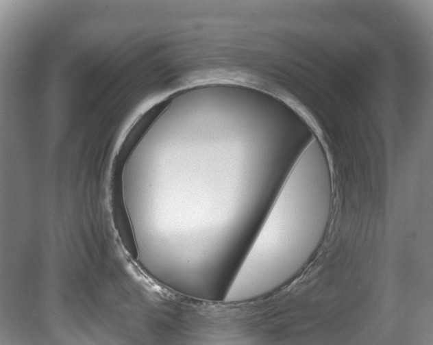 X0000081611104200701151113