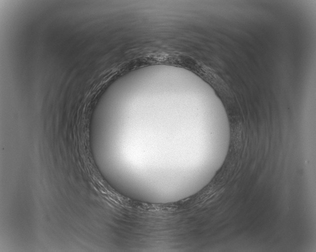 X0000081611105200701151113