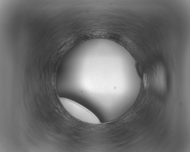 X0000081611107200701151113