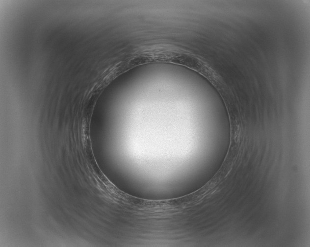 X0000081611108200701151113