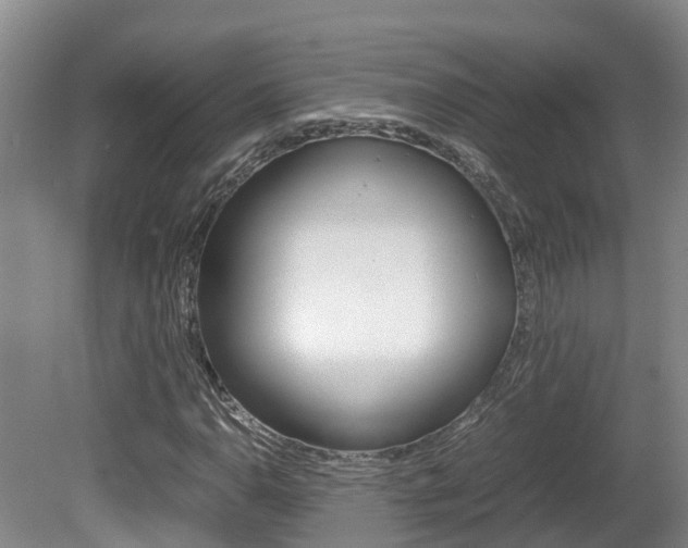 X0000081611110200701151113