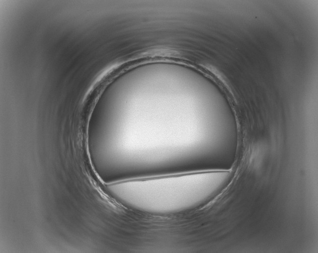 X0000081611115200701151113