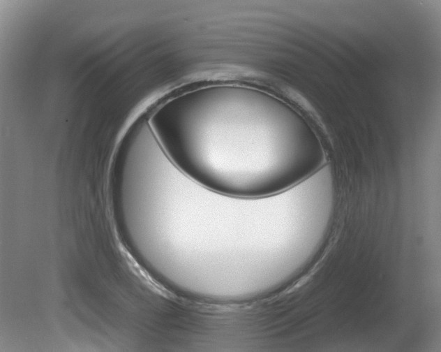 X0000081611122200701151113