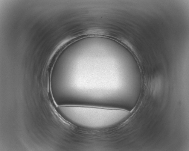 X0000081611123200701151113