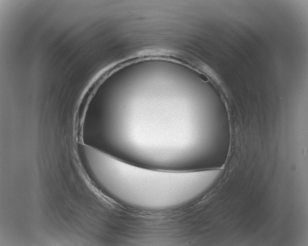 X0000081611124200701151113