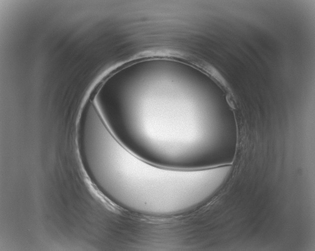 X0000081611132200701151113