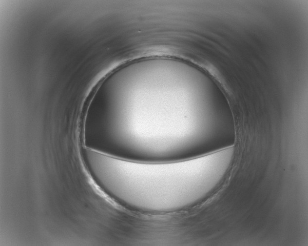 X0000081611134200701151113