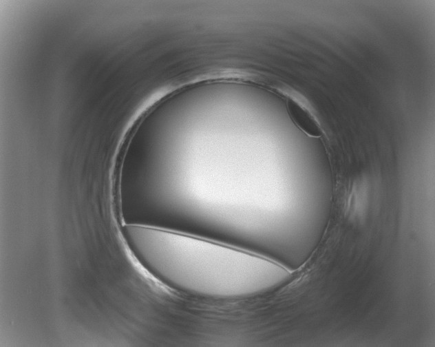 X0000081611135200701151113