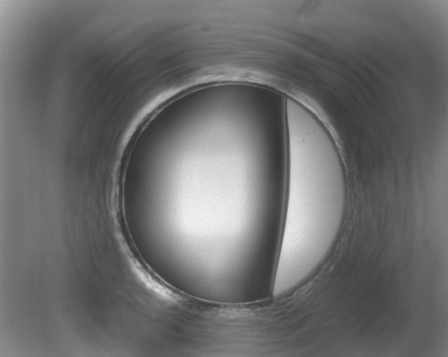 X0000081611136200701151113
