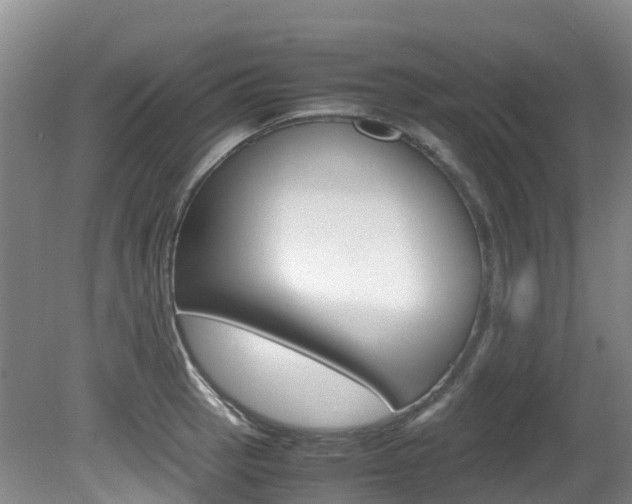 X0000081611137200701151113