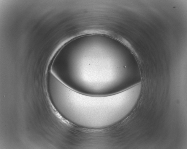 X0000081611140200701151113