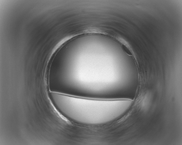 X0000081611141200701151113