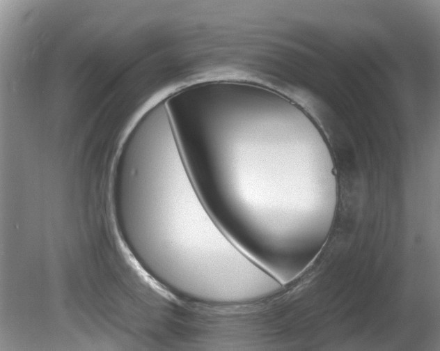 X0000081611142200701151113