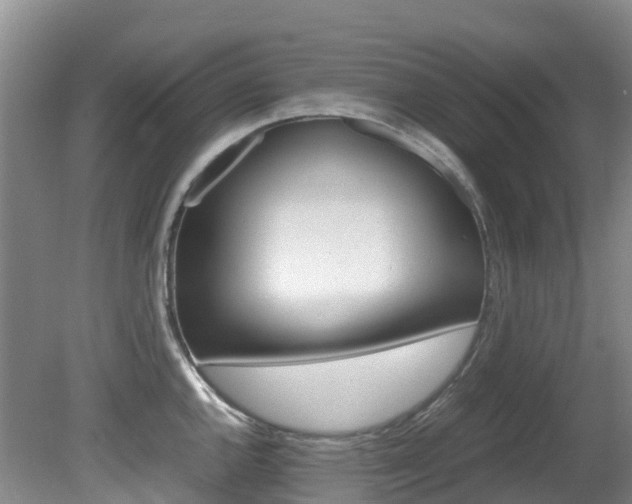 X0000081611144200701151113