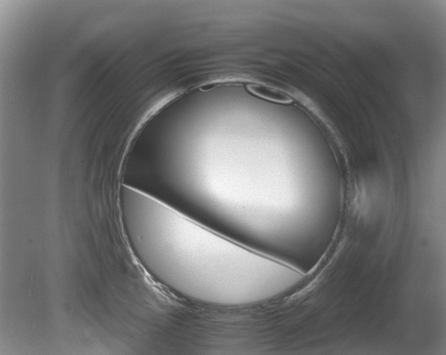 X0000081611145200701151113