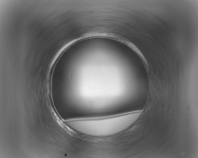 X0000081611148200701151113