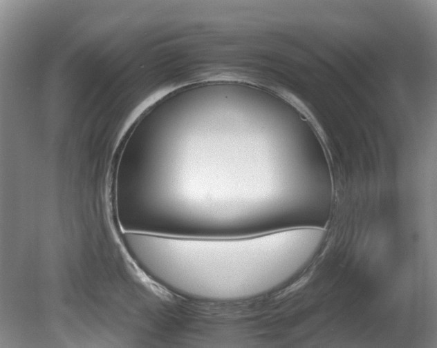X0000081611149200701151113