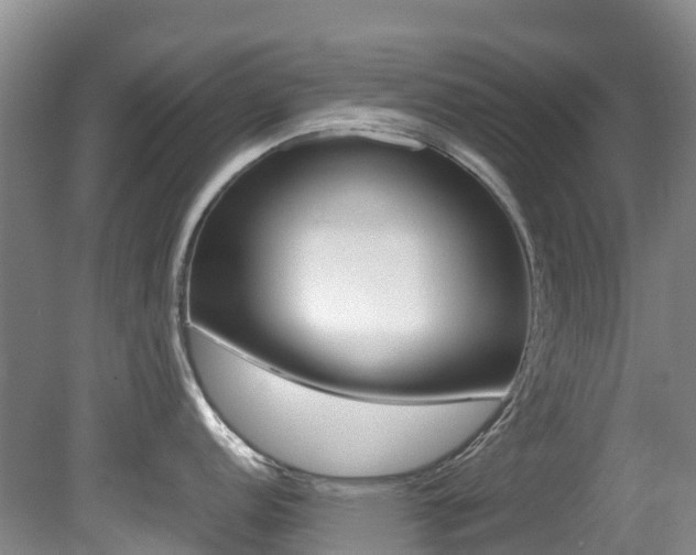 X0000081611152200701151113
