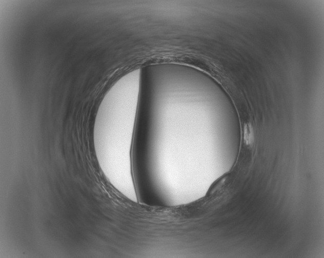 X0000081611155200701151112