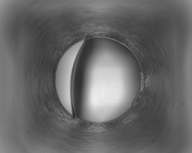 X0000081611156200701151112