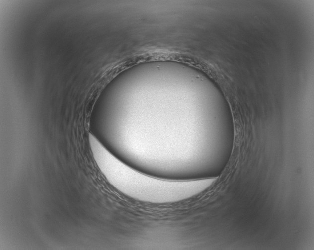 X0000081611157200701151112