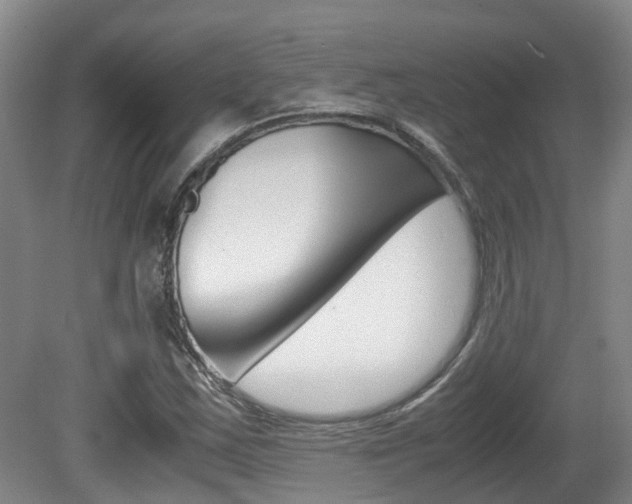 X0000081611163200701151112