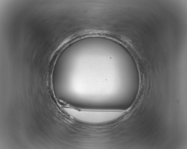 X0000081611165200701151112