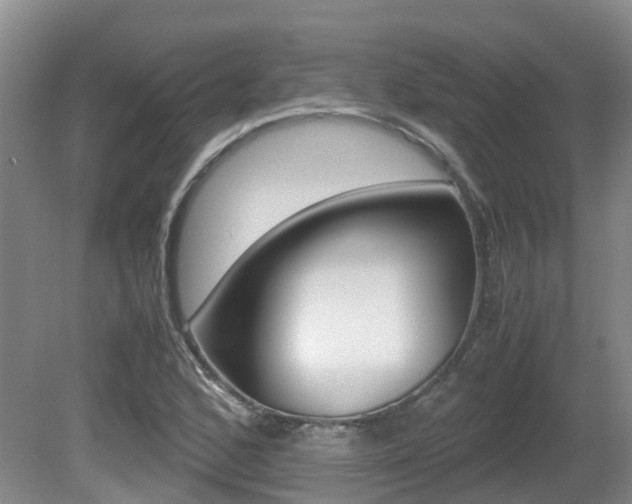 X0000081611168200701151112