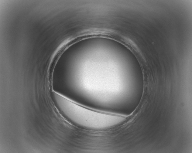 X0000081611172200701151112
