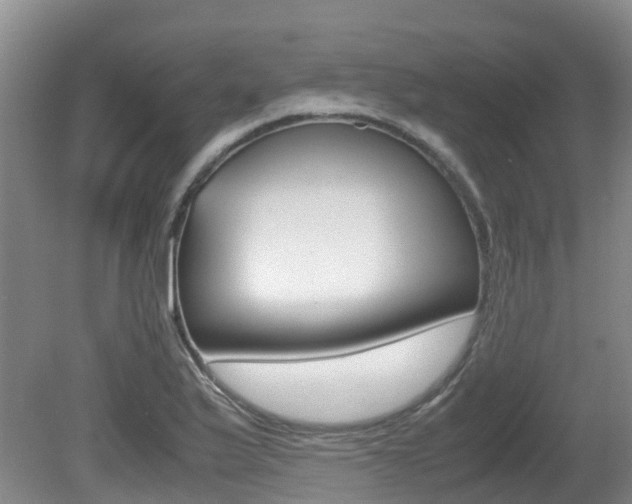 X0000081611175200701151112