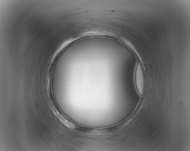 X0000081611179200701151112