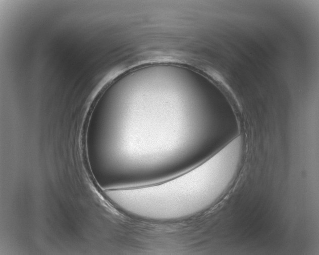 X0000081611181200701151112