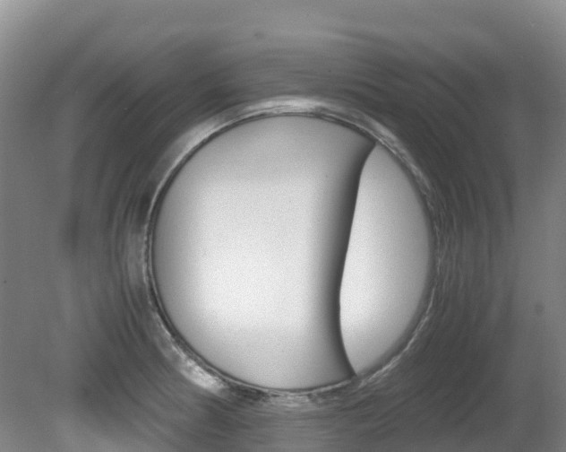 X0000081611186200701151112
