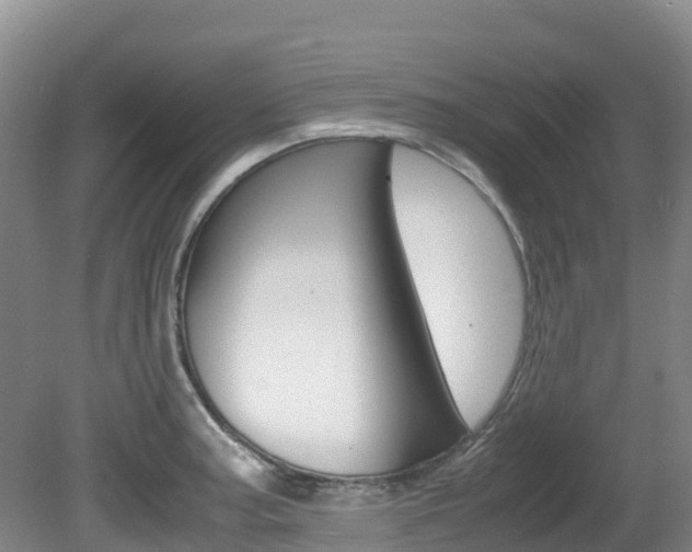 X0000081611187200701151112